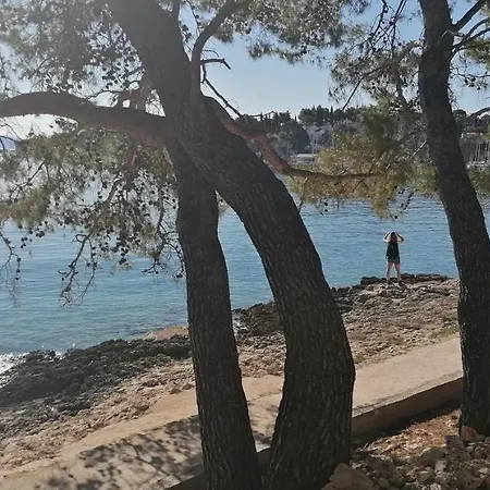 House Fidulic - The Lavender Lumbarda