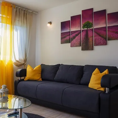 House Fidulic - The Lavender