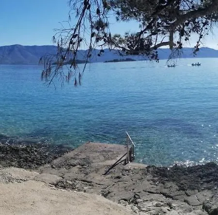 House Fidulic - The Lavender 公寓 *