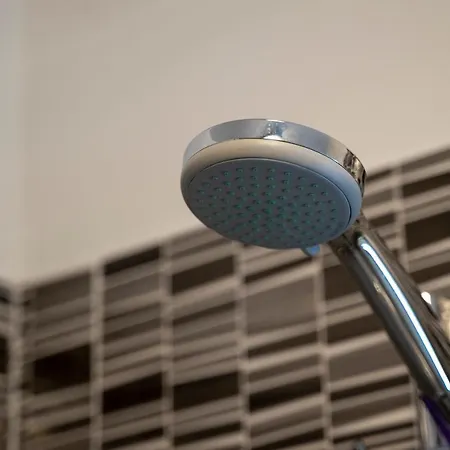 House Fidulic - The Lavender 公寓 *