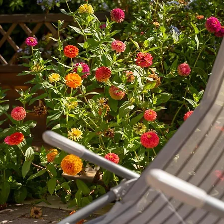 House Fidulic - The Lavender