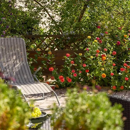 House Fidulic - The Lavender *