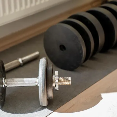 House Fidulic - The Lavender 鲁巴达