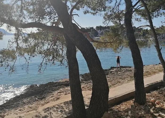 House Fidulic - The Lavender 鲁巴达