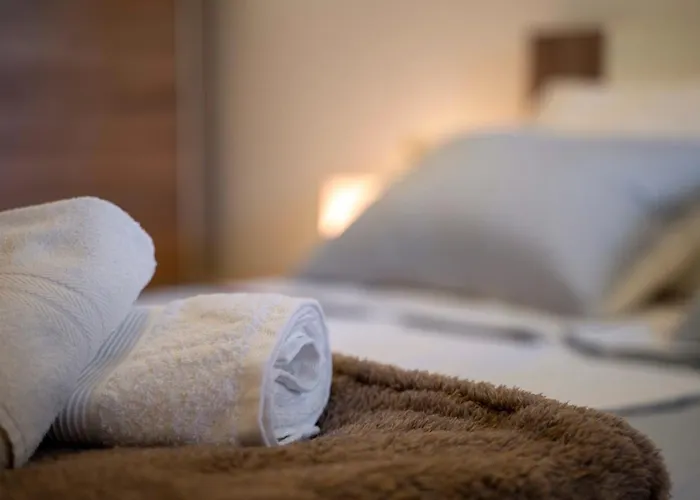 House Fidulic - The Lavender *