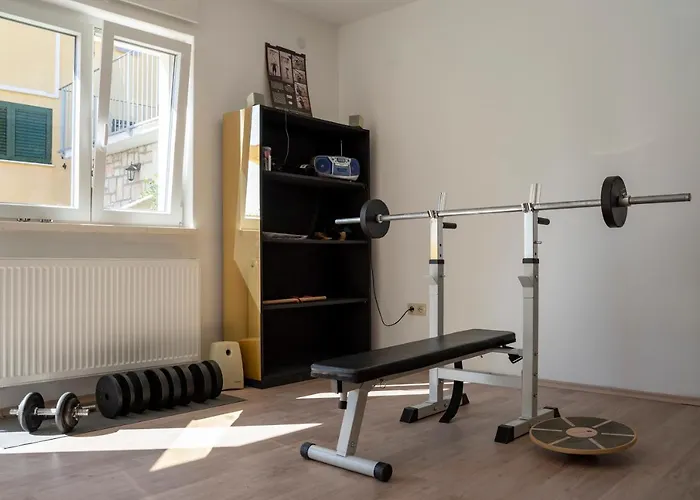 House Fidulic - The Lavender *