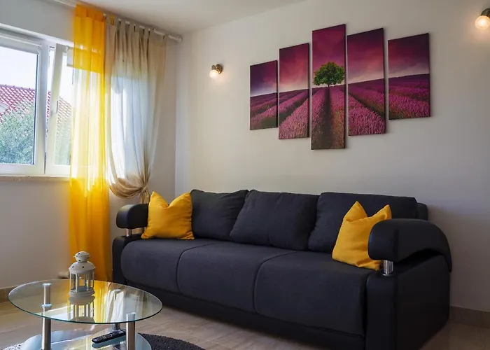 House Fidulic - The Lavender