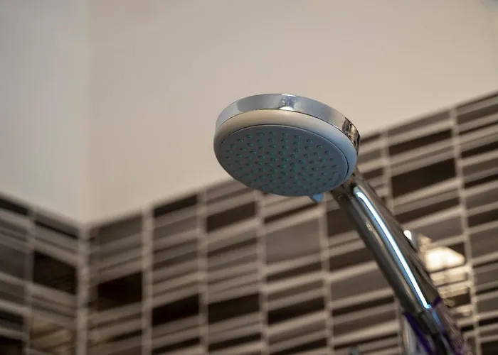 House Fidulic - The Lavender 公寓 *