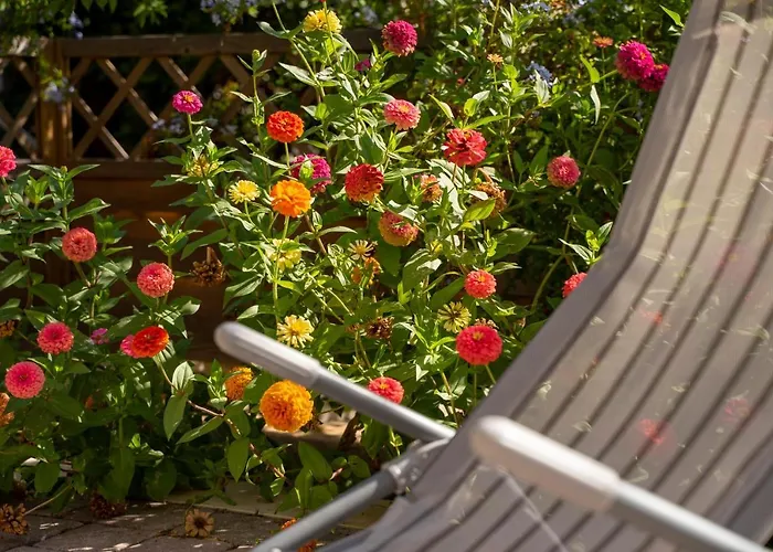 House Fidulic - The Lavender