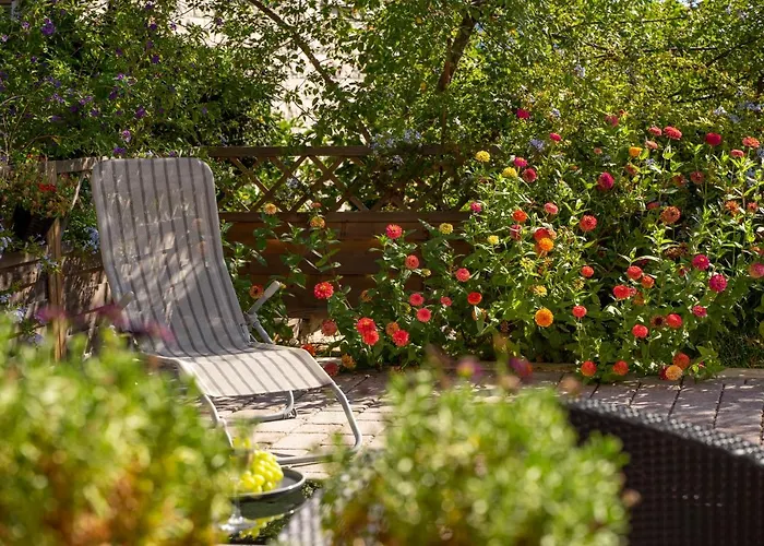 House Fidulic - The Lavender *