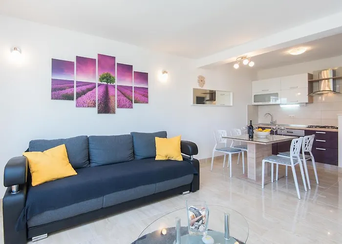 House Fidulic - The Lavender 鲁巴达